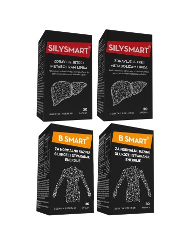 Damasalis Silysmart + B Smart kapsule 2+2