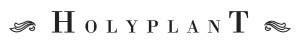 Holyplant