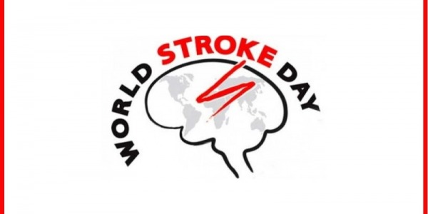 29. listopada, Svjetski dan moždanog udara